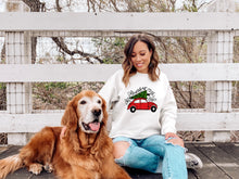 Load image into Gallery viewer, Christmas Bug Sweater